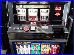 Wild Times by Bally Slot Machine