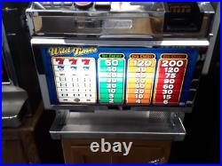Wild Times by Bally Slot Machine