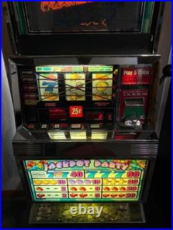 Williams Jackpot Party Slot Machine
